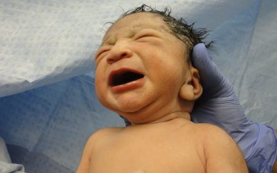 Did Jesus Cry Like Any Other Baby?