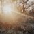 John 1:1–18: The Identity of Jesus