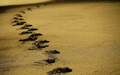 How Evernote Can Help You Relax on Vacation