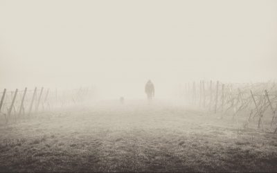 Faith: Confident Uncertainty