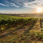 Cultivating and Keeping: Human Productivity in Creation