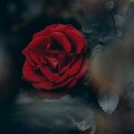 Genesis 16:1–16: The Concubine of Abram
