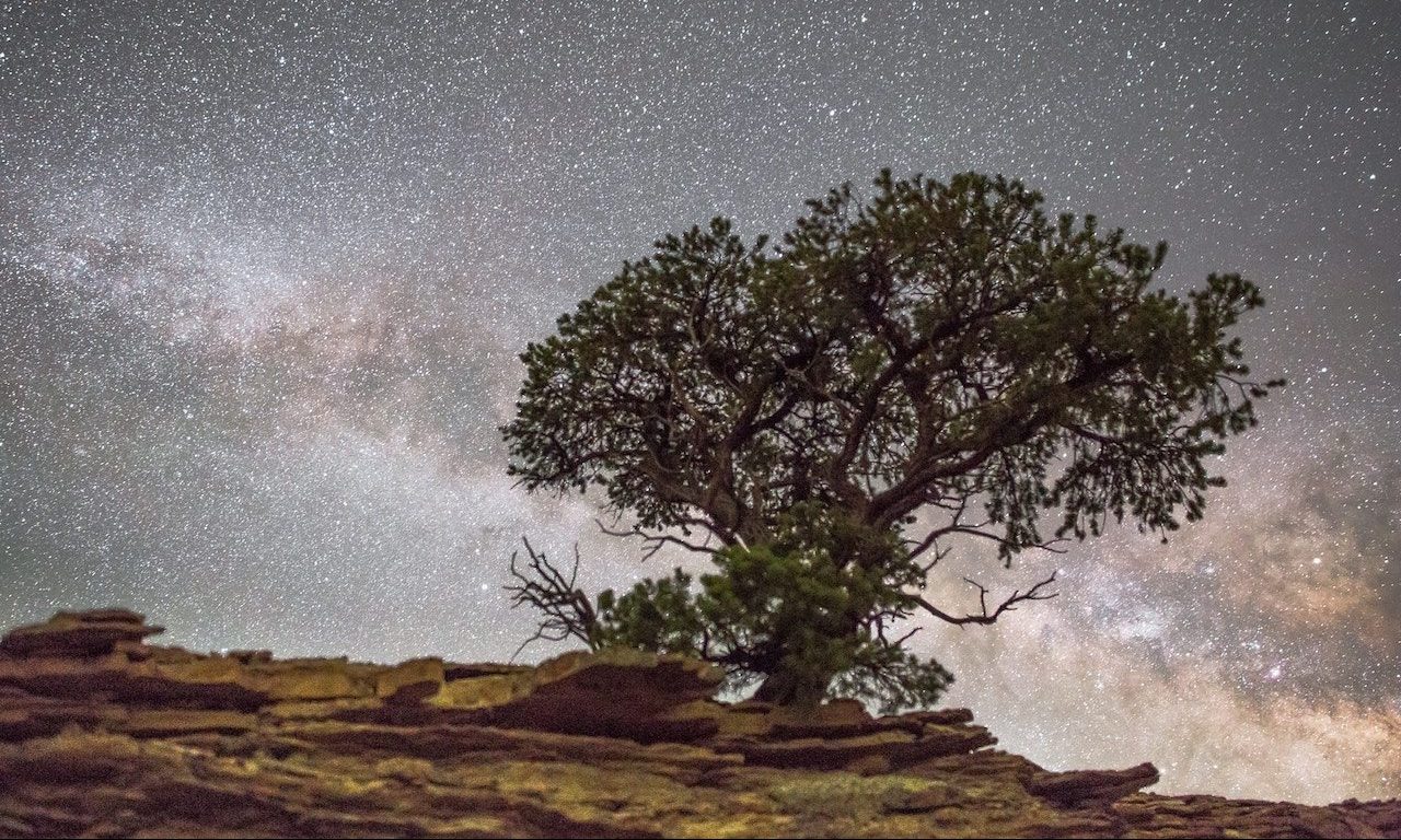genesis-17-1-14-the-circumcision-of-abraham-jacobgerber