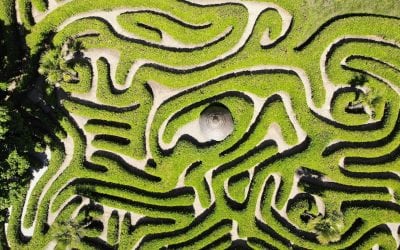 Why Do We Use Creeds and Confessions in Worship?