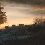1 John 5:13–17: Prayer