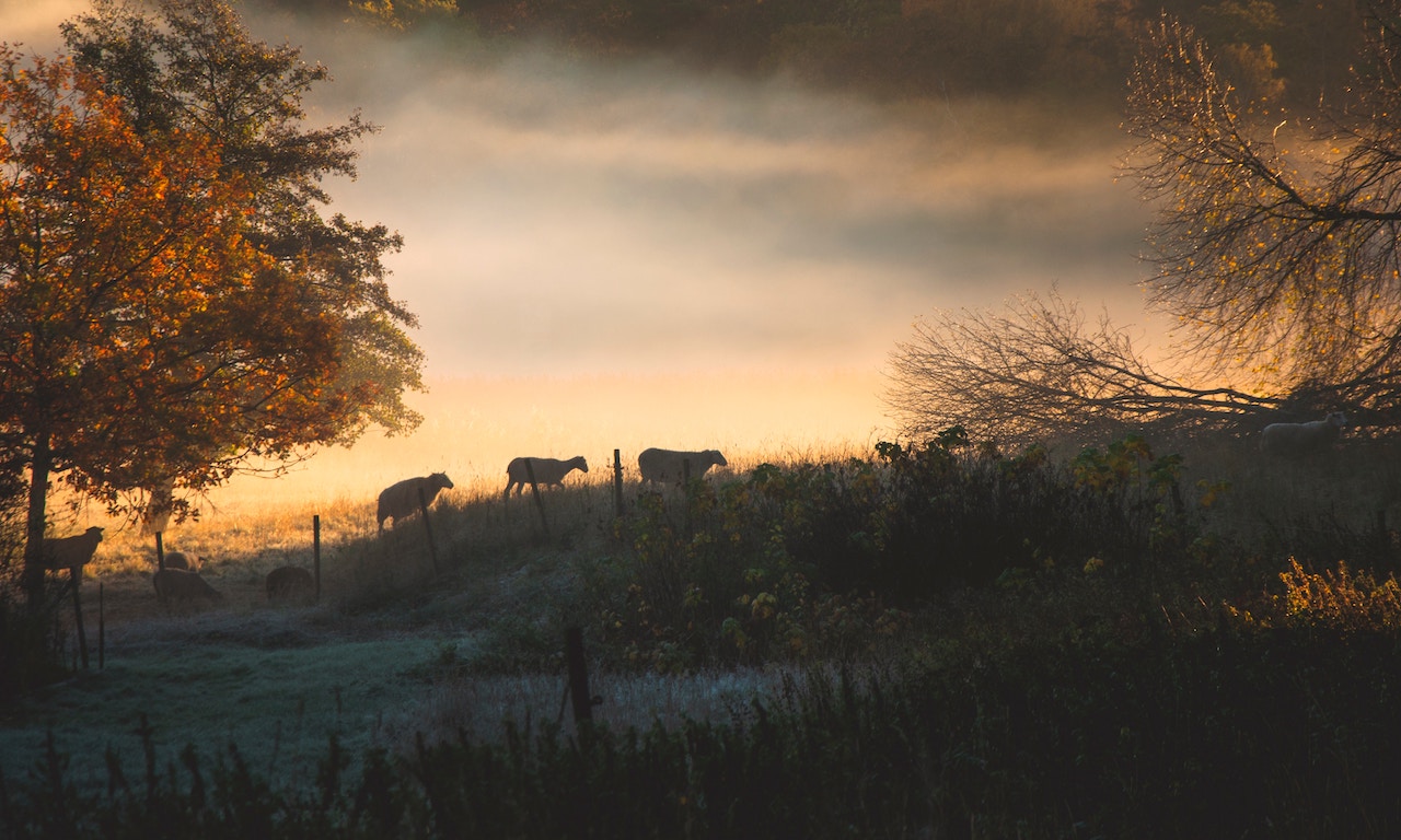 1-john-5-13-17-prayer-jacobgerber