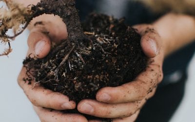 Faithfulness: How to Pursue a Fruitful Life