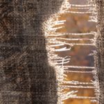 1 Corinthians 1:1–17: Christ’s Holy, Divided Church