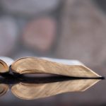 What Should We Do With the Bible? (Discipleship Training)