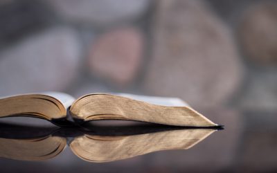 What Should We Do With the Bible? (Discipleship Training)