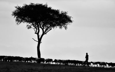 True Pastors are Fathers, Teachers, and Rulers (1 Corinthians 4:14–21)