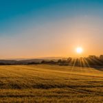 1 Corinthians 6:1–20: Holy Living in the Church