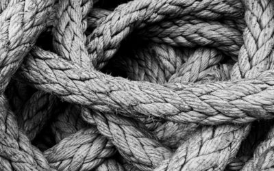 Don’t Call Them “Members” of the Trinity: On Union with God and Others