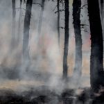The Fall of Man, Sin, & God’s Punishment (Discipleship Training)