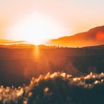 1 Corinthians 15:1–58: The Resurrection