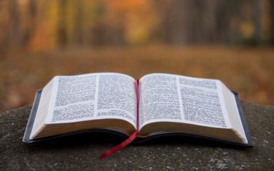 The Ten Commandments – Part 2 (Discipleship Training)