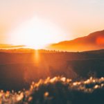 Genesis 50:1–26: God Meant it for Good