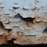 Ecclesiastes 3:16–4:16: Vanity in Life and in Death