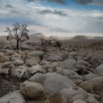 Ecclesiastes 10:1–20: The Destructiveness of Folly