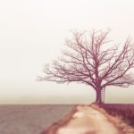 Ecclesiastes 8:1–17: Who is Like the Wise?
