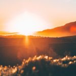 Ecclesiastes 9:1–18: Wisdom is Better