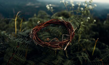 Matthew 27:27–31: The King of the Jews