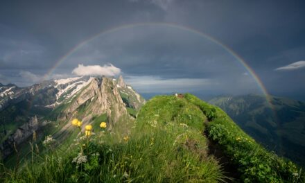 1 Peter 1:1–12: Temporary Suffering and Eternal Glory