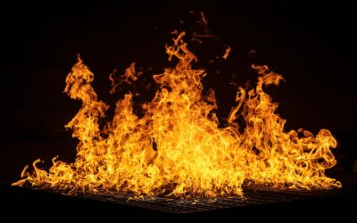 1 Peter 4:1–19: Suffering According to God’s Will
