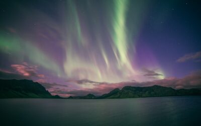 1 Peter 3:8–22: Suffering for Righteousness’ Sake