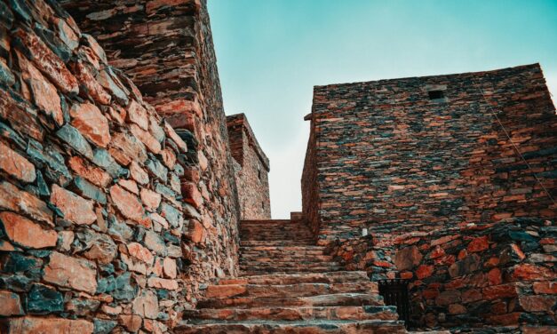 1 Peter 2:1-10: A Royal Priesthood