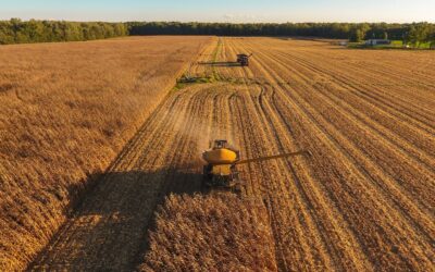 Acts 2:1–13: The Firstfruits of a Global Harvest