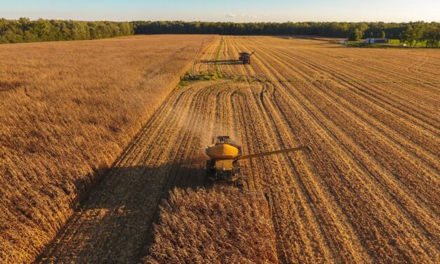 Acts 2:1–13: The Firstfruits of a Global Harvest