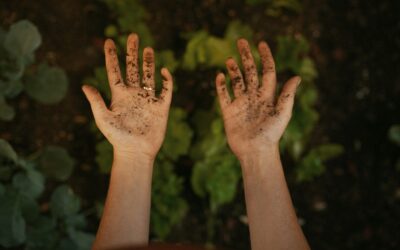 Acts 6:1–7: The Ministries of Word and of Deed