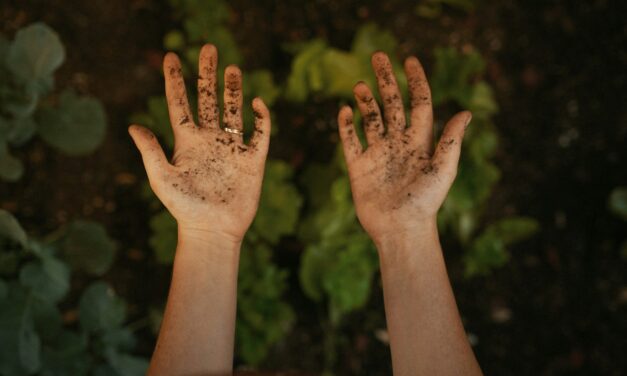 Acts 6:1–7: The Ministries of Word and of Deed