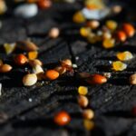 Acts 8:1–8: Persecution and Joy