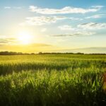 Acts 9:32–43: Ordinary People, Extraordinary Savior