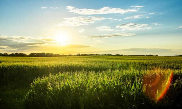 Acts 9:32–43: Ordinary People, Extraordinary Savior