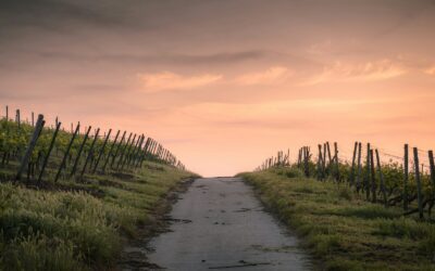 Acts 11:1–18: Repentance that Leads to Life