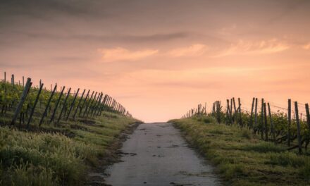 Acts 11:1–18: Repentance that Leads to Life