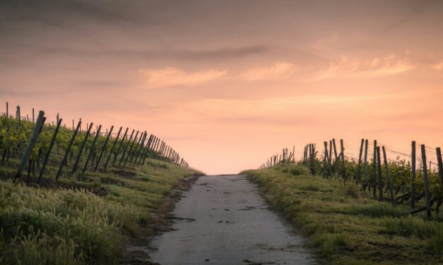 Acts 11:1–18: Repentance that Leads to Life