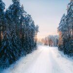 Acts 13:13–41: Jesus, God’s Savior for Israel