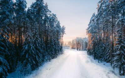 Acts 13:13–41: Jesus, God’s Savior for Israel