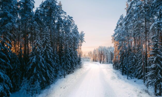 Acts 13:13–41: Jesus, God’s Savior for Israel