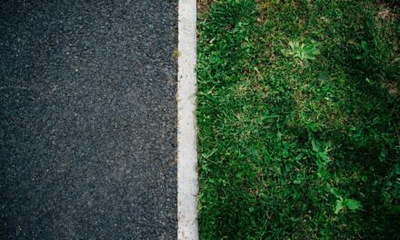 Acts 13:42–52: A Light for the Gentiles