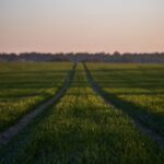 Acts 16:6–15: The Spirit of Jesus