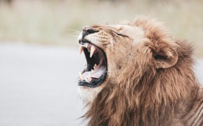 Acts 16:16–24: Our Prowling and Roaring Adversary
