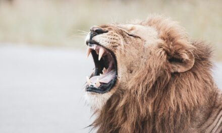 Acts 16:16–24: Our Prowling and Roaring Adversary
